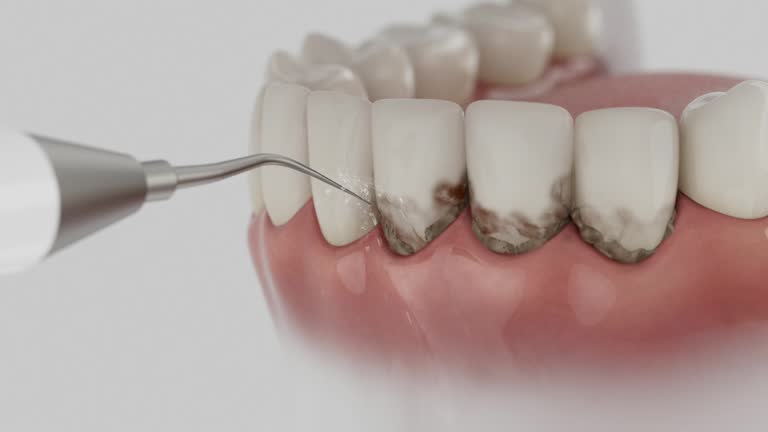 Reliable Dental contractor in Richlands, NC by Dentist Open Now